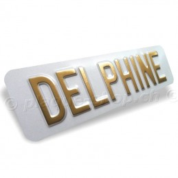 Targa auto personalizzata con il tuo nome DELPHINE